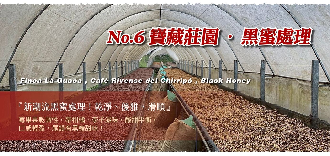 NO.6_ Finca La Guaca_豆子故事館.jpg