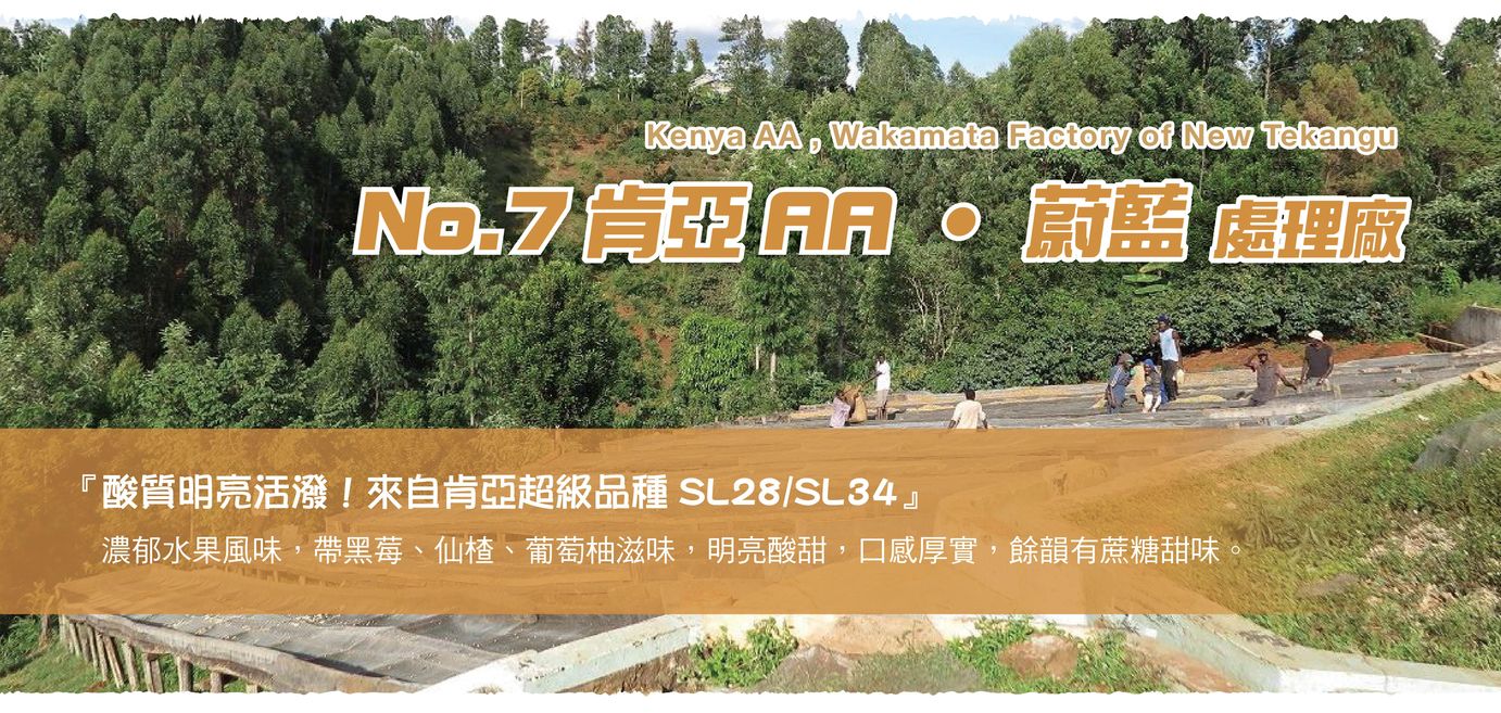 NO.7_  Kenya AA _豆子故事館.jpg