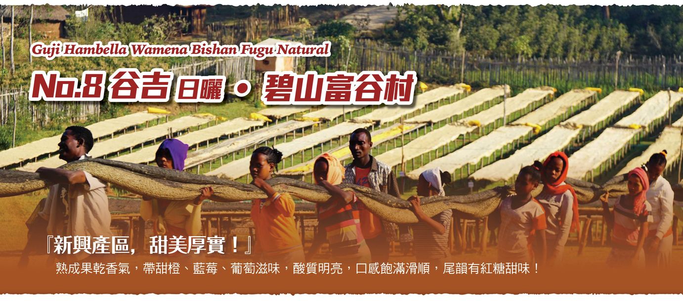 NO.8  Guji Hambella _豆子故事館.jpg