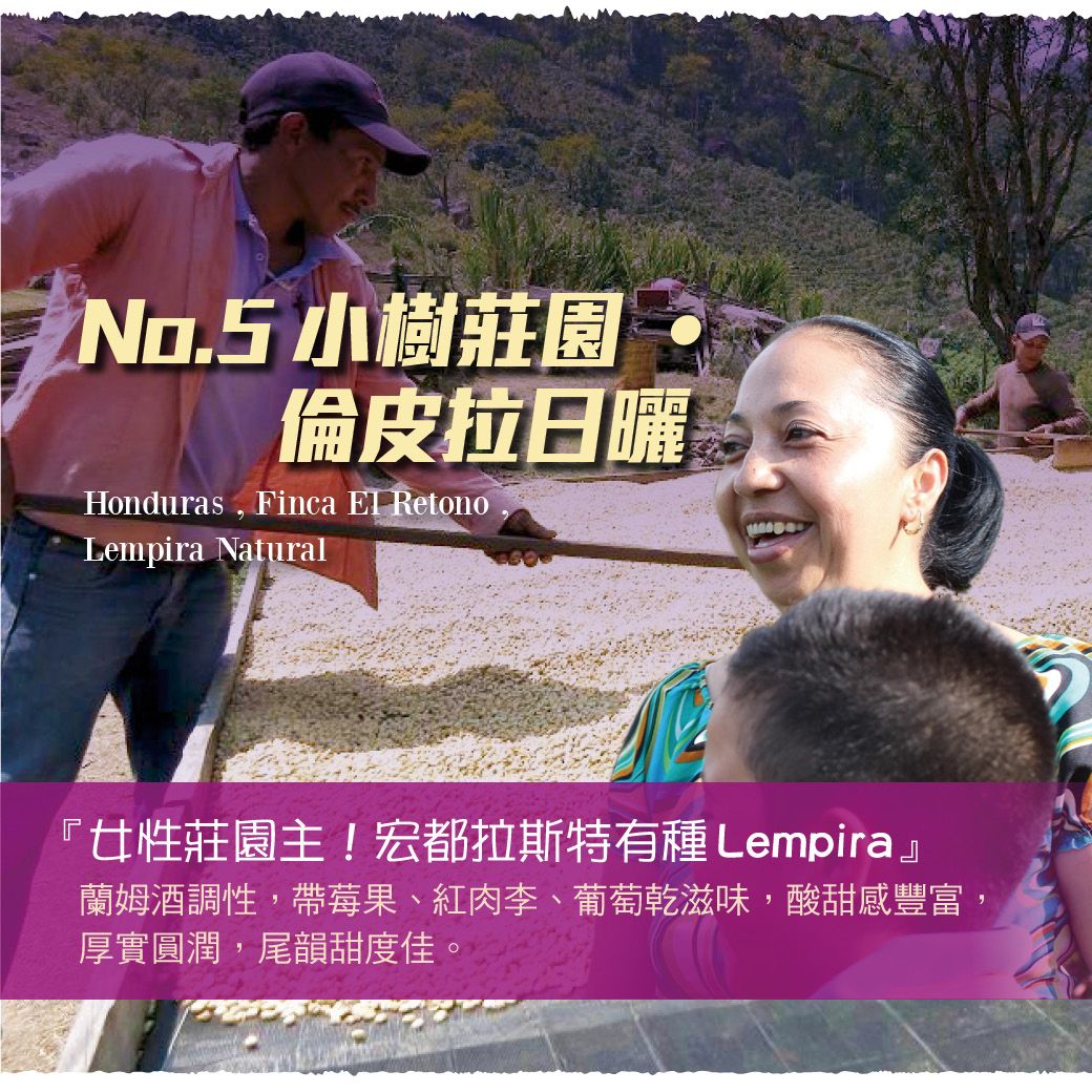No.5_小樹 莊園 ‧倫皮拉日曬_LINE.jpg