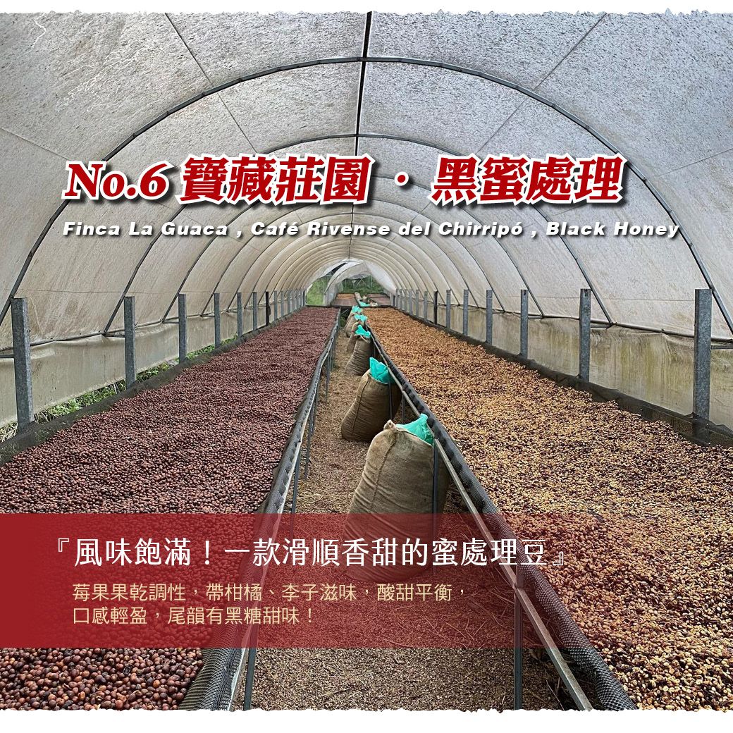 NO.6_ Finca La Guaca_LINE.jpg