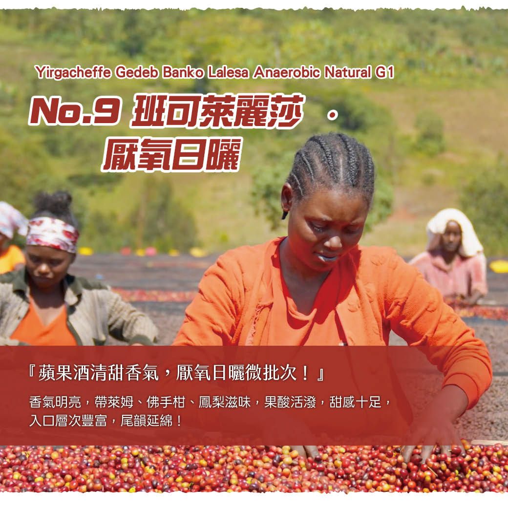 No. 9 Yirgacheffe Gedeb_LINE.jpg