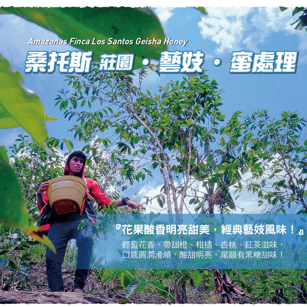 藝妓_Amazonas Finca_LINE.jpg